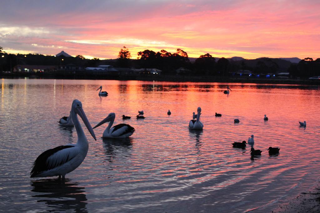 Holiday Haven Burrill Lake المظهر الخارجي الصورة